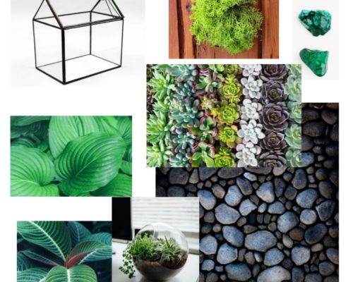 terrarium mood board